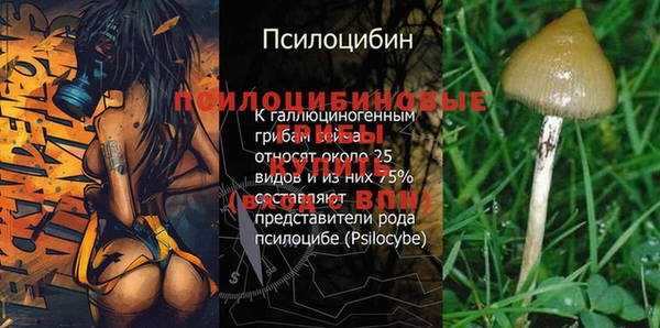 трава Алексеевка