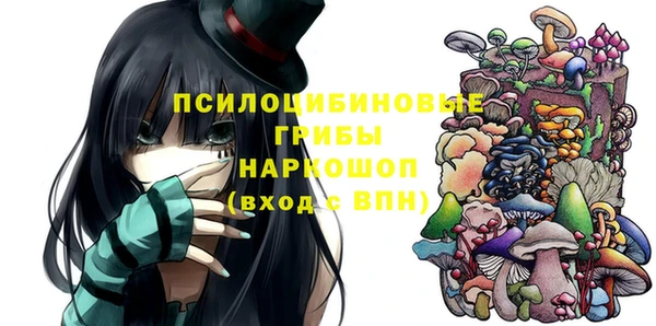 круглые Алзамай
