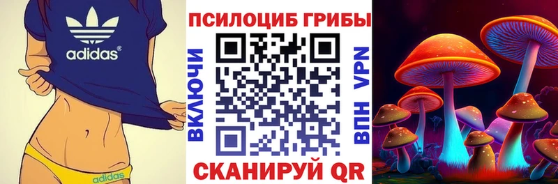 Псилоцибиновые грибы Cubensis Печоры